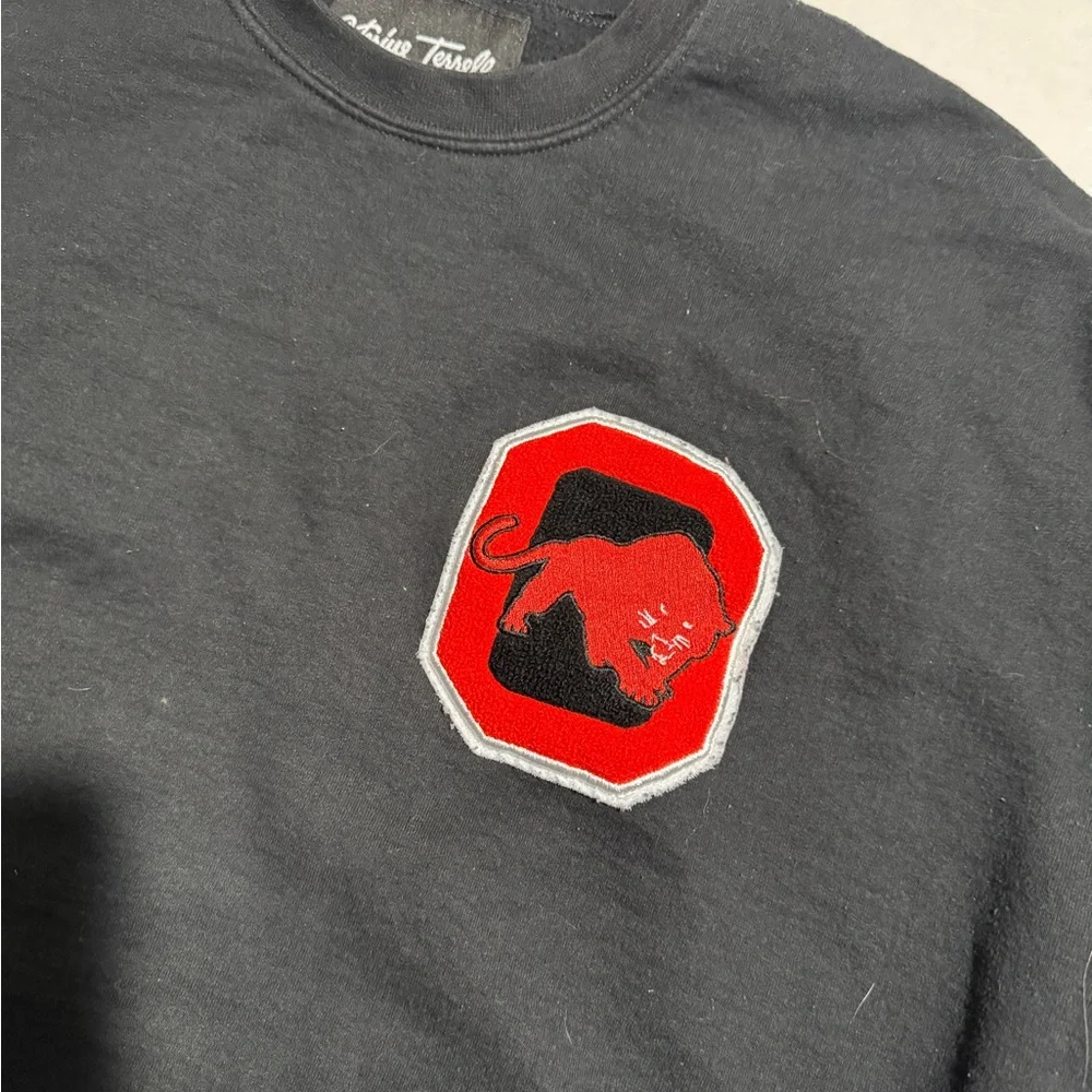 Arterius Terrell Black Pullover Sweatshirt 0, Panther logo, Men's 2X #1035‎